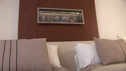 VOICED: Hoteles tematicos encantan en BA News Clip