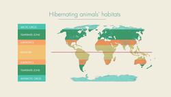 TED-ED: What's the difference between hibernation and sleep? - Sheena Faherty Instructional Video