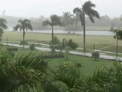 Tropical rain 5  60i Stock Footage