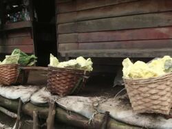 MS PAN Miner basket full of solid sulfur / Ijen, Java, Indonesia Stock Footage