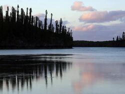 HD Video Isle of Pine, New caledonia Stock Footage