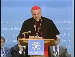 WRAP Food summit opens, UN Sec Gen, Fukuda, Lula, Mugabe, Fernandez News Clip