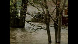 News Item (349c519e-4801-629f-af3f-ac385412f7d0) Instructional Video