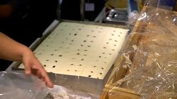 hand cutting fruit cake Stock Footage