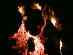 Camp Fire at night 2 Stock Footage