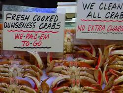 Seafood Stand Stock Footage