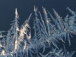 CU Frost pattern on window pane / Tweed, Ontario, Canada Stock Footage