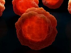 Stem cells are undifferentiated cells that can produce other types of cell when they divide Stock Footage