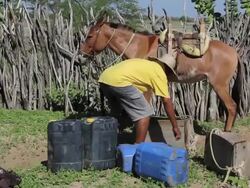 MS Shot of Man collect water from shafts in little city at Northeast / Pilao Arcado, Bahia, Brazil Stock Footage