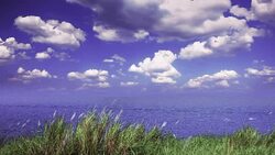 Empty beach and pier Stock Footage