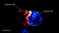 The Doctor Who Started a Cancer Treatment Revolution News Clip