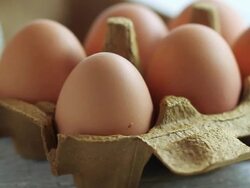 CU  PAN Shot of Chicken Eggs in brown carton / London, United Kingdom  Stock Footage