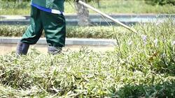 Gardener cutting grass Super Slow Stock Footage