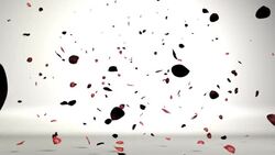 Pink and red rose petals float gently down to a white surface. Stock Footage