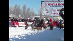 Iditarod Trail Sled Dog Race Kicks Off In Alaska News Clip