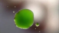 POV camera lens partially covered with drops splatters of a green liquid. Stock Footage