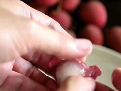 Lychee Stock Footage