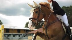 HD Super Slow-Mo: Horse Rider Jumping Over Obstacles Stock Footage
