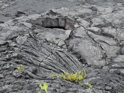 Old lava flow in Hawaii Stock Footage