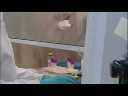 Stem Cell Liver in Jar News Clip