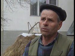 BOSNIA: UN WAR CRIMES TRIBUNAL INVESTIGATION News Clip