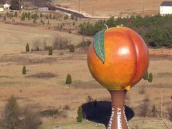 MS AERIAL Shot of Peachoid Water Tower / South Carolina, United States Stock Footage