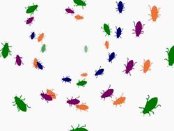 Bugs spiral walking Stock Footage