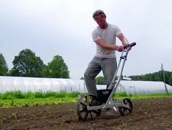 WS SLO MO TS LA View of Farmer planting seeds at organic farm, hoop/green houses in back side / Chatham, Michigan, United States Stock Footage