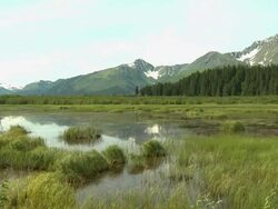"Marshy lake with forest and snow capped mountains in background, between Seward and Homer, Kenai Peninsula, Alaska." Stock Footage