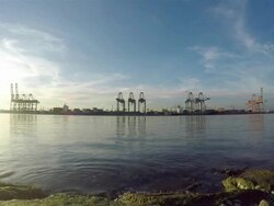 Cargo container shipping Stock Footage