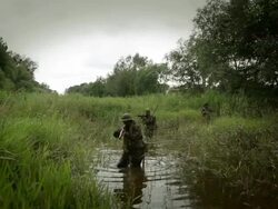 MS U.S. Special Operation Forces soldiers with automatic rifles walking in river in Vietnam war / Jungle, Hue, Vietnam Stock Footage