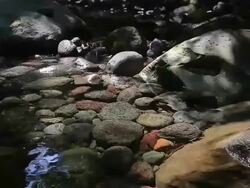 MS Clean water in Donneko Valley / Jeju, Jeju-do, South Korea Stock Footage