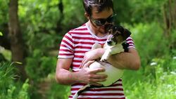 Jack Russell Terrier's puppy in a loving hug of a jolly guy Stock Footage