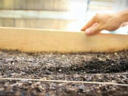 Planting Seeds (HD) Stock Footage