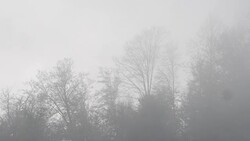 Fog of Lake Gï¿½ygï¿½l (goygol) Stock Footage