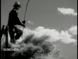 Farming wheat Instructional Video