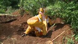 CLEAN : Freetown cemetery buries dead in protective clothing News Clip