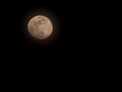 Full Moon Stock Footage