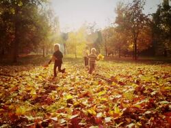 Children running in the park Stock Footage