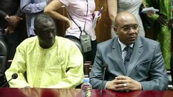 CLEAN : Malis interim president confirms elections News Clip