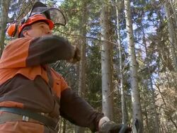 HD: Lumberjack resting and explaining Stock Footage