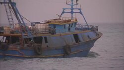 Zurawah Port & Fishing Boats at Sunset News Clip