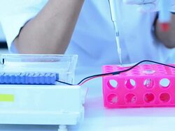 Scientist and bio lab experiment Stock Footage