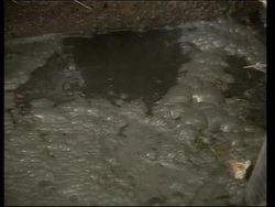 Fears of cholera, infectious disease outbreaks News Clip