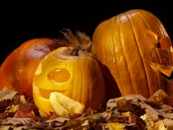 HD LOOP: Rotating Halloween Pumpkin Heads Stock Footage