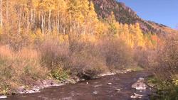 Bailey's Big Back Yard: Air and Wind Instructional Video