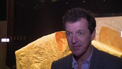 CLEAN: Spider silk outfit goes on show in London News Clip