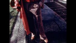 News Item (ef8605f8-e683-4338-5484-897c7931978a) Instructional Video