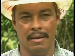 NICARAGUA: FARMERS ARM THEMSELVES AGAINST BANDITS News Clip