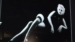 VOICED : Candid Marilyn Monroe photos to be sold News Clip